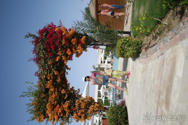 фото Labranda Royal Makadi