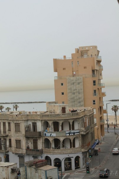 фото Вита-Парк