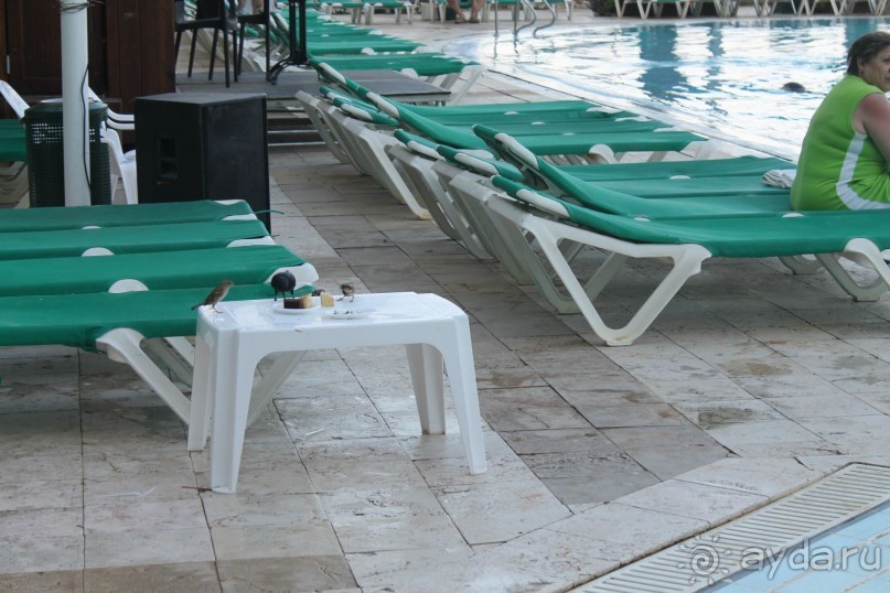 фото Sol Y Mar Makadi Sun (закрыт)