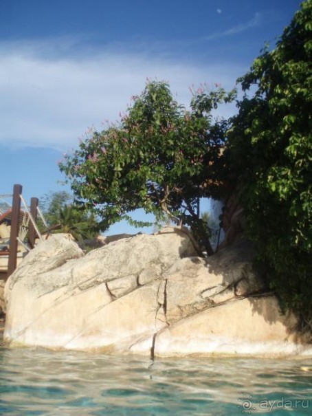 Просто Чудо!!! Лучше не бывает!!!