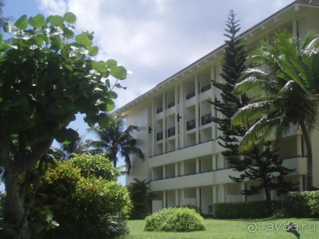 Просто Чудо!!! Лучше не бывает!!!