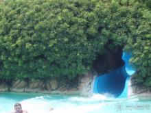 Просто Чудо!!! Лучше не бывает!!!