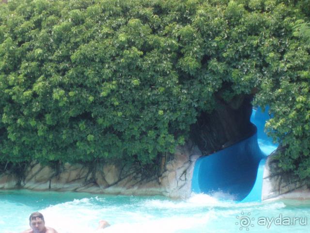 Просто Чудо!!! Лучше не бывает!!!