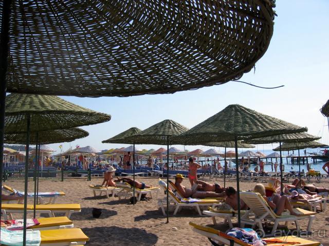 фото  Hotel Ambiente