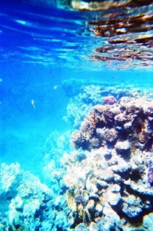 Рифы на пляже отеля