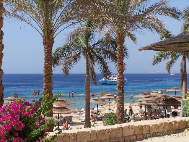 Пляж:места хватит всем!