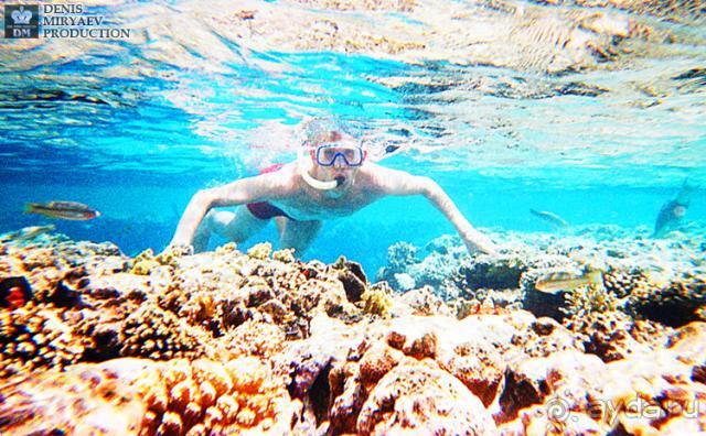 Кораллы у подводного