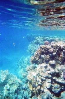 Отель прекраснейший!!!