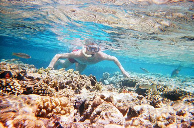 Отель прекраснейший!!!