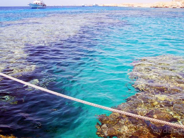 Отель прекраснейший!!!