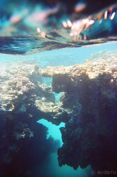 Отель прекраснейший!!!