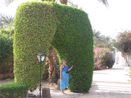 фото FUN&SUN SMART Seti Sharm 