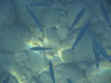 фото Ulusoy Kemer Holiday Club