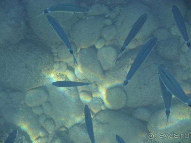 Хороший отель для семейного отдыха