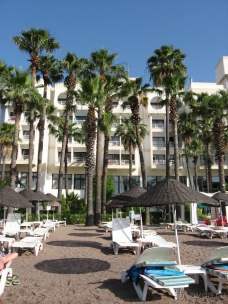 фото Alexandrine