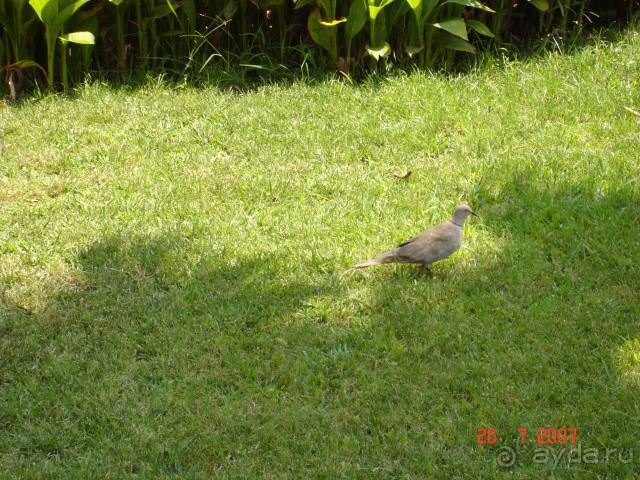 фото Gural Premier Belek 