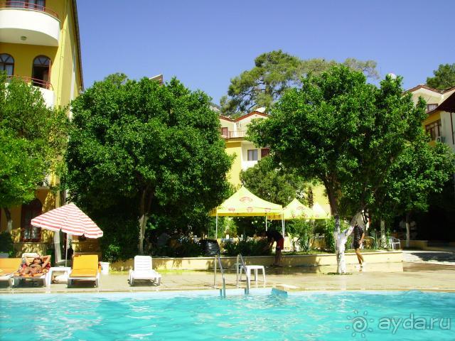 Траум - июль 2008. Не бойтесь, все будет хорошо!)