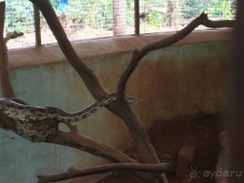 Вторая поездка Гоа (Мандрем)