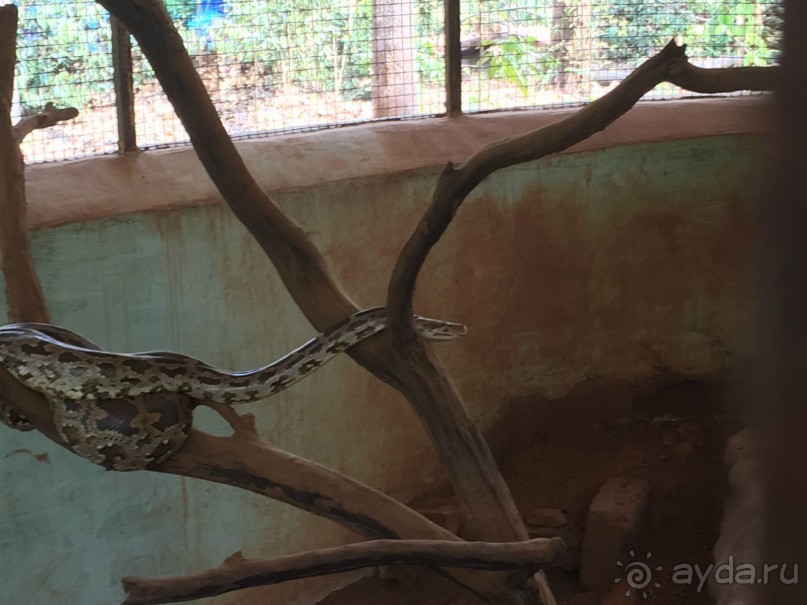 Вторая поездка Гоа (Мандрем)