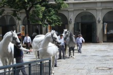 Праздник души и живота + средневековье.