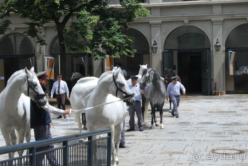 Праздник души и живота + средневековье.
