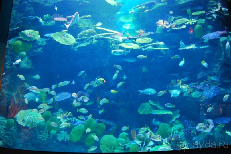 Ко Чанг с семьей и 3 летним ребенком....