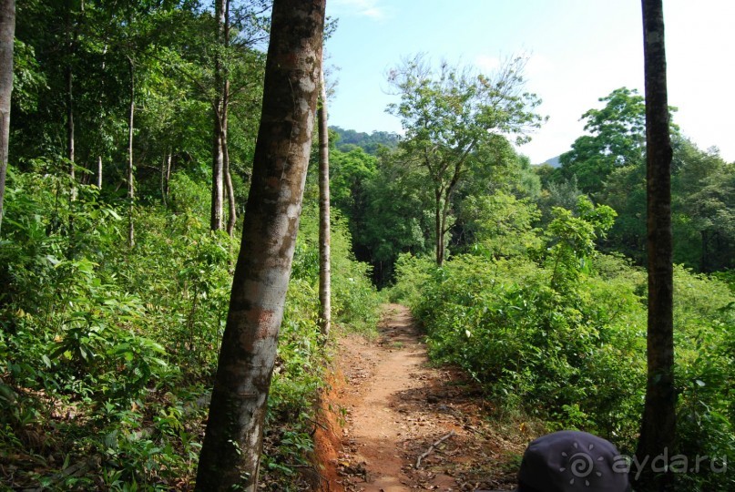 Ко Чанг с семьей и 3 летним ребенком....