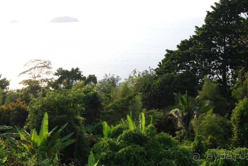 Ко Чанг с семьей и 3 летним ребенком....