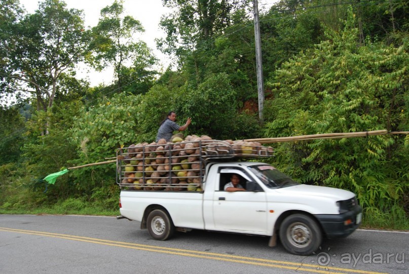Ко Чанг с семьей и 3 летним ребенком....