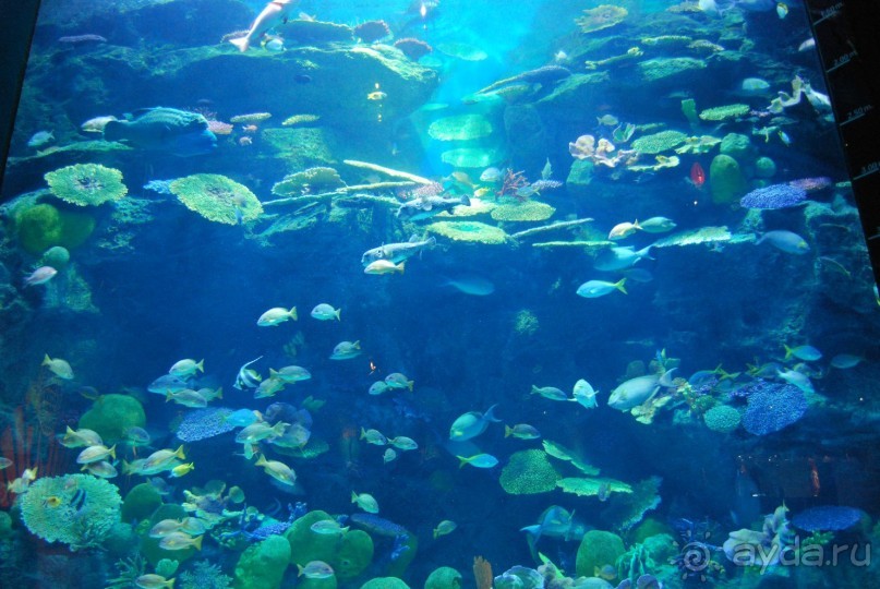 Ко Чанг с семьей и 3 летним ребенком....