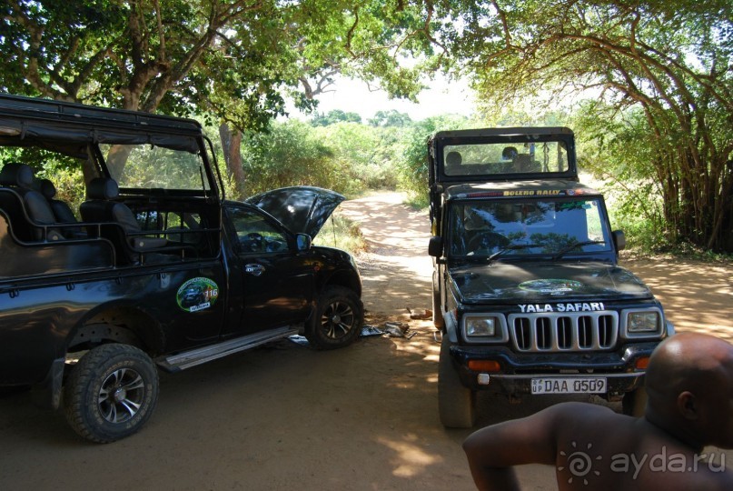 Путешествие по острову + пляжный отдых в Тангалле