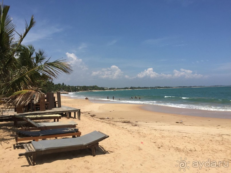 Путешествие по острову + пляжный отдых в Тангалле