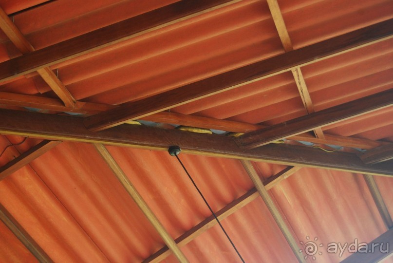 Путешествие по острову + пляжный отдых в Тангалле