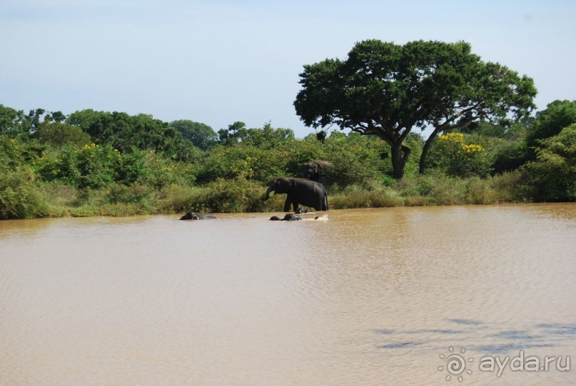 Путешествие по острову + пляжный отдых в Тангалле