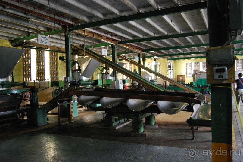 Путешествие по острову + пляжный отдых в Тангалле