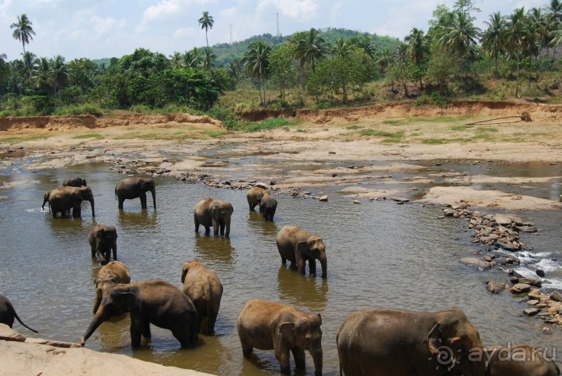 Путешествие по острову + пляжный отдых в Тангалле