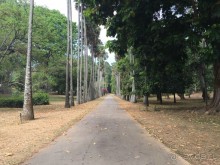 Путешествие по острову + пляжный отдых в Тангалле