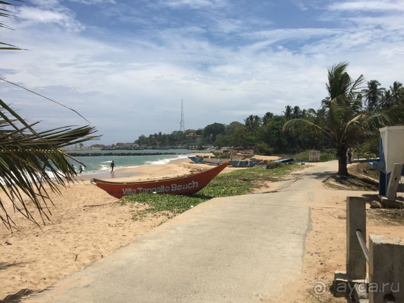 Путешествие по острову + пляжный отдых в Тангалле