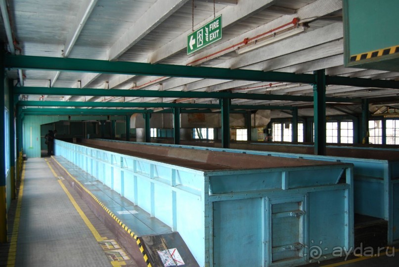 Путешествие по острову + пляжный отдых в Тангалле