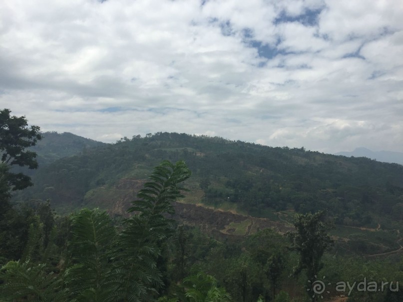 Путешествие по острову + пляжный отдых в Тангалле