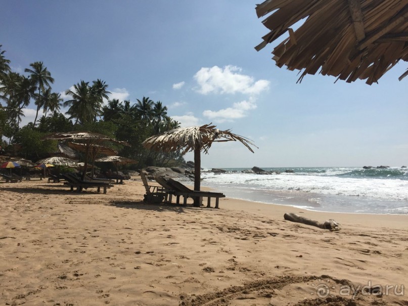 Путешествие по острову + пляжный отдых в Тангалле