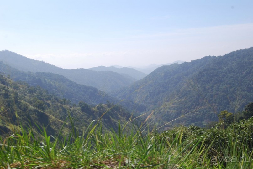 Путешествие по острову + пляжный отдых в Тангалле