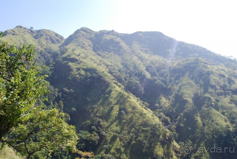 Путешествие по острову + пляжный отдых в Тангалле