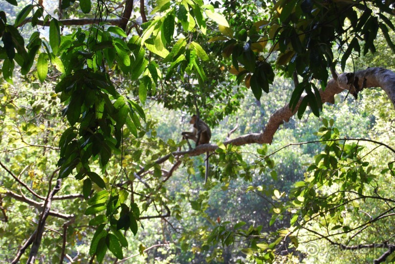 Супер! Южное Гоа