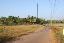 Супер! Южное Гоа