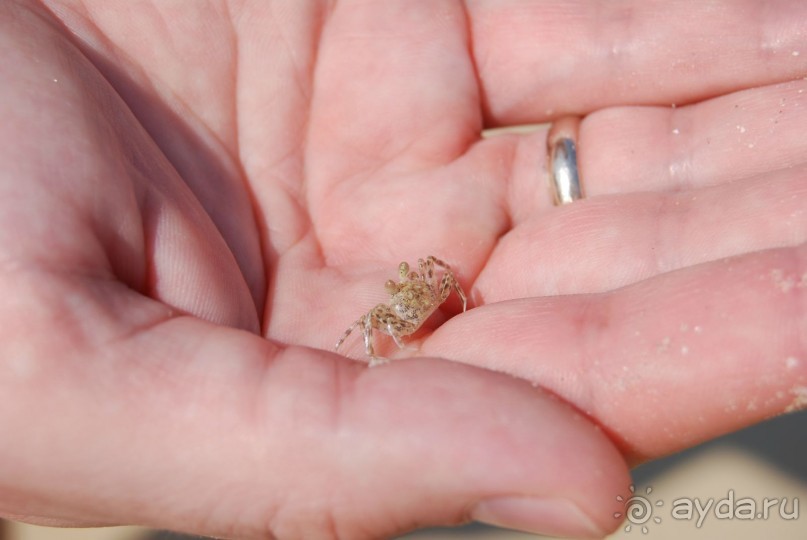 Супер! Южное Гоа