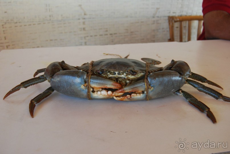 Супер! Южное Гоа