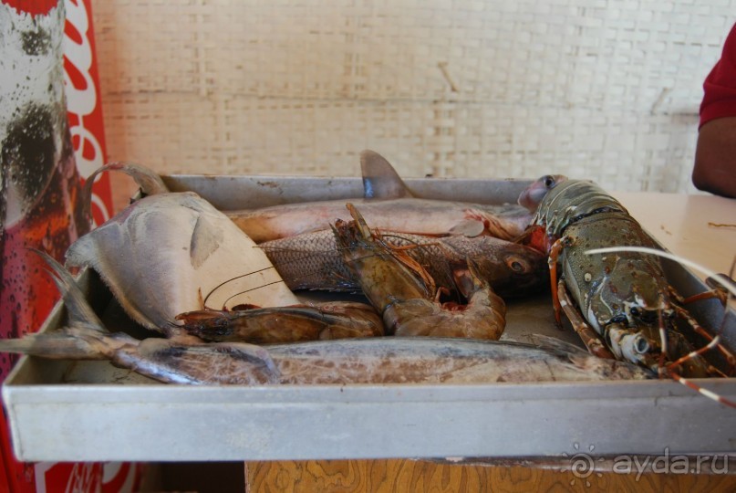 Супер! Южное Гоа