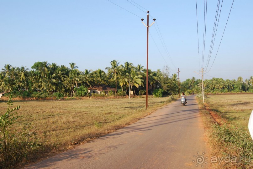 Супер! Южное Гоа