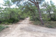 Турецкая Республика Северный Кипр (ТРСК)